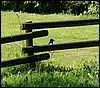 060614_PICT0014.JPG