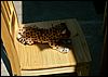 060614_PICT0019.JPG