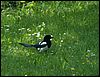 060614_PICT0028.JPG