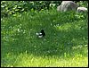 060614_PICT0029.JPG