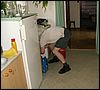 060614_PICT0032.JPG
