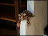 060614_PICT0040.JPG