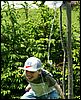 060615b_PICT0006.JPG