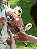 060615b_PICT0010.JPG