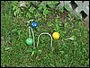 060615b_PICT0025.JPG