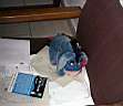 DCP13060.JPG