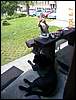 DCP16364.JPG