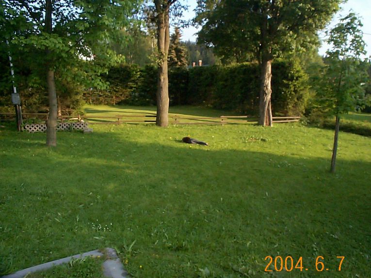 DCP16419.JPG