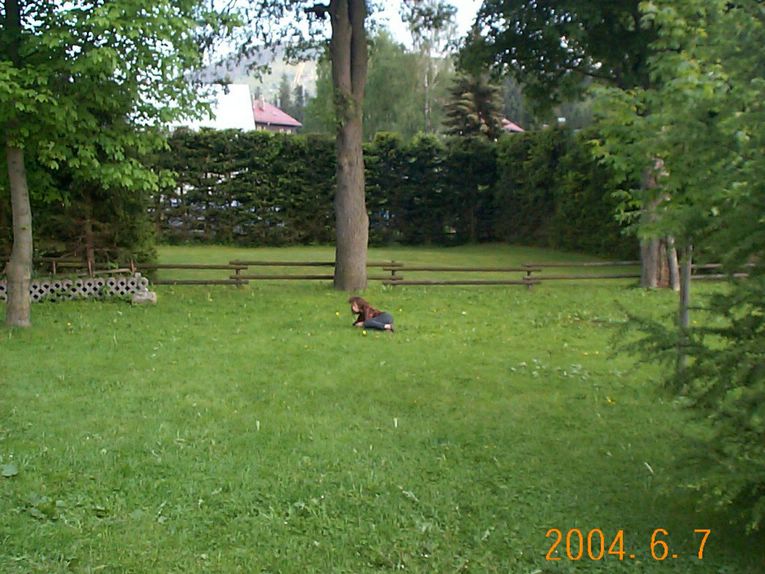 DCP16425.JPG