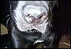 DCP16428.JPG