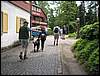 IMG_4018.JPG