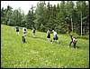 IMG_4022.JPG