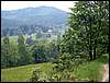 IMG_4029.JPG