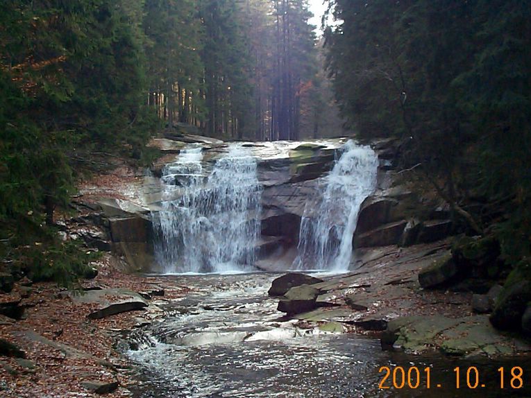 DCP09270.JPG