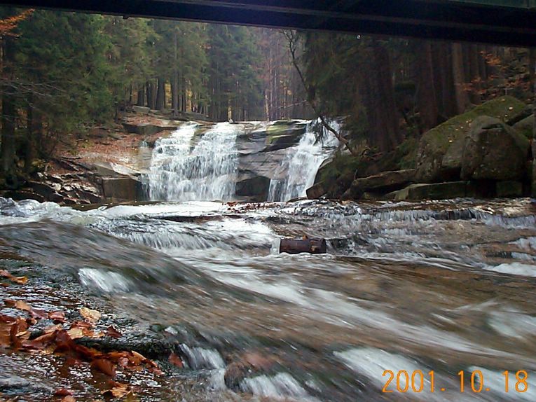DCP09272.JPG