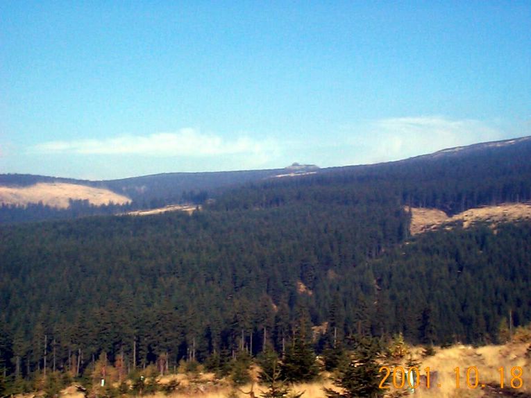 DCP09283.JPG