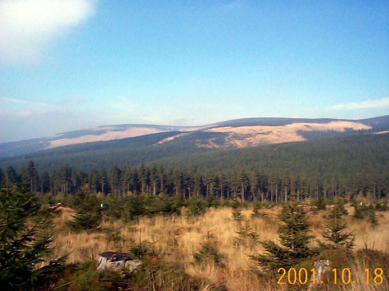 DCP09284.JPG