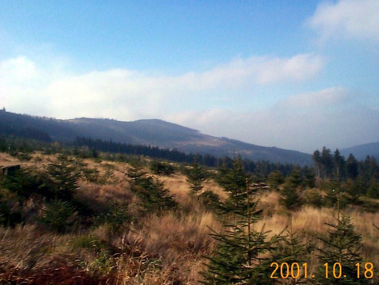 DCP09285.JPG