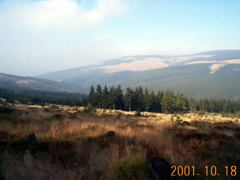 DCP09287.JPG