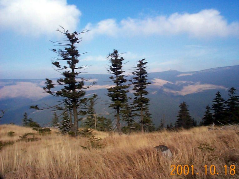 DCP09288.JPG