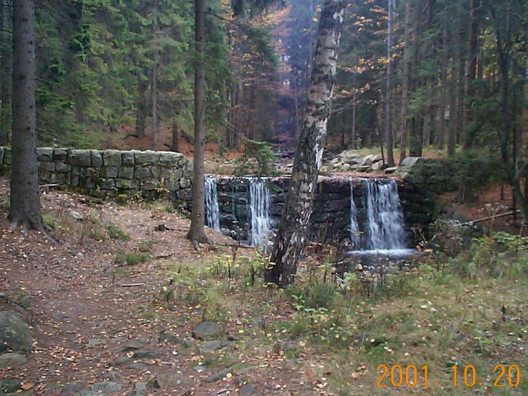 DCP09338.JPG
