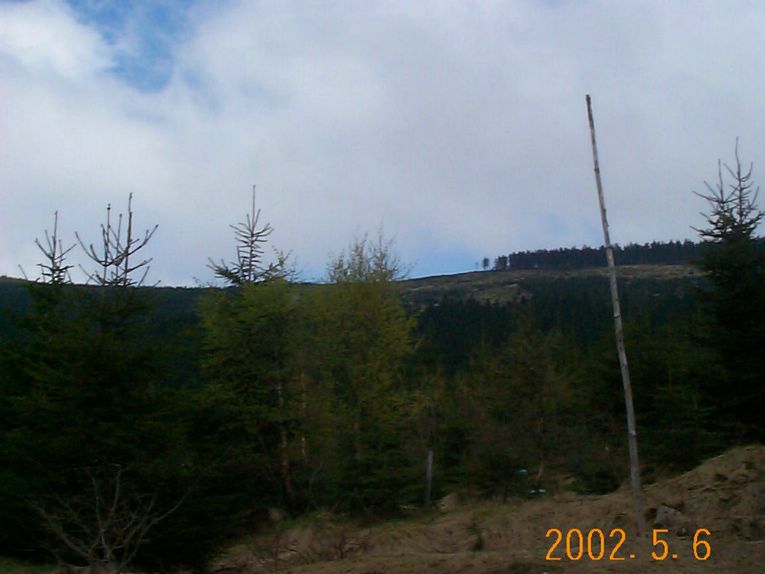 DCP10248.JPG