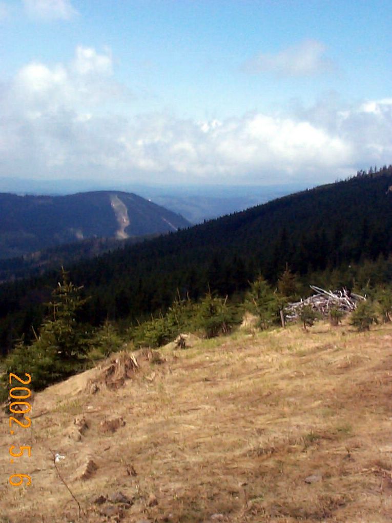 DCP10257.JPG