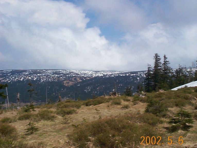DCP10259.JPG