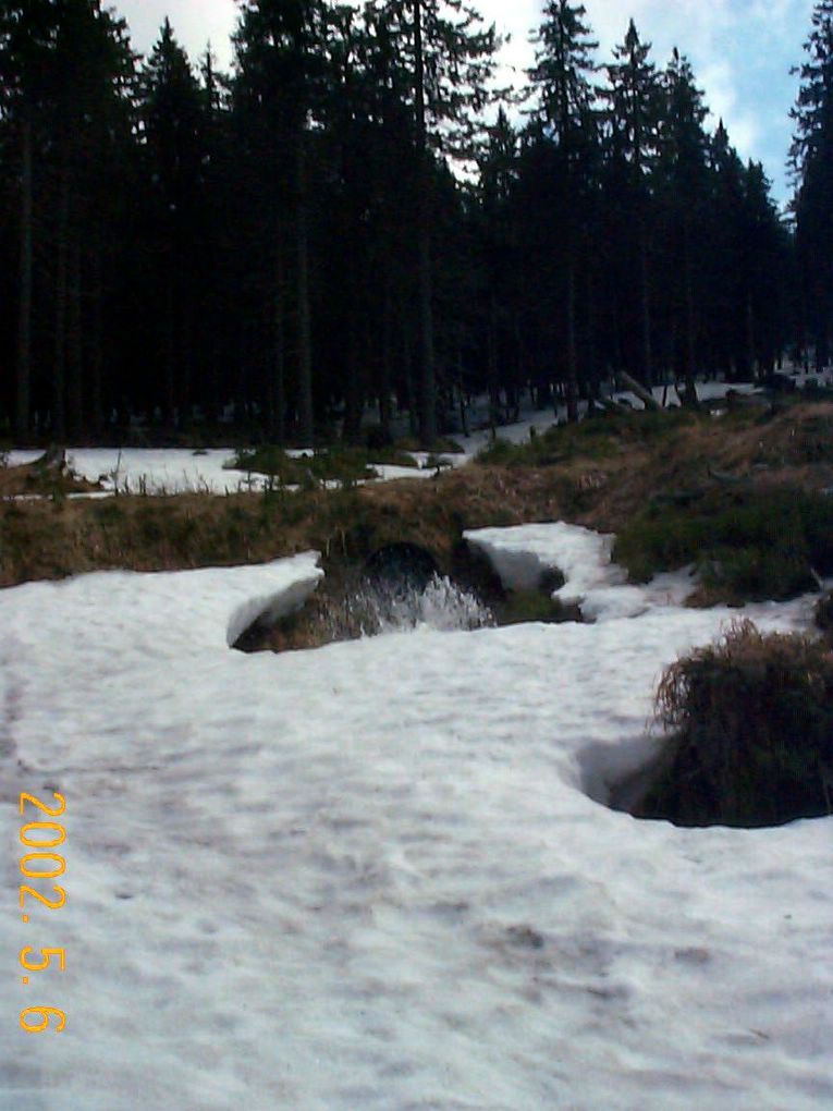 DCP10266.JPG