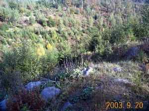 DCP14539.JPG