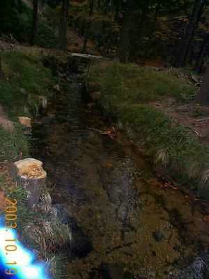 DCP14807.JPG