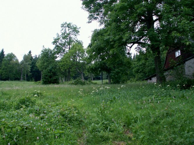 080612_PICT0007.JPG