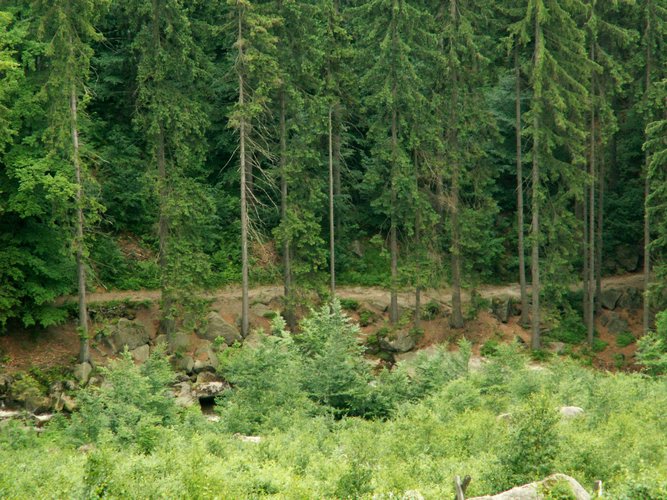 080612_PICT0011.JPG