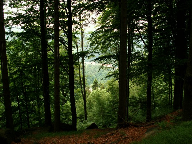 080612_PICT0013.JPG