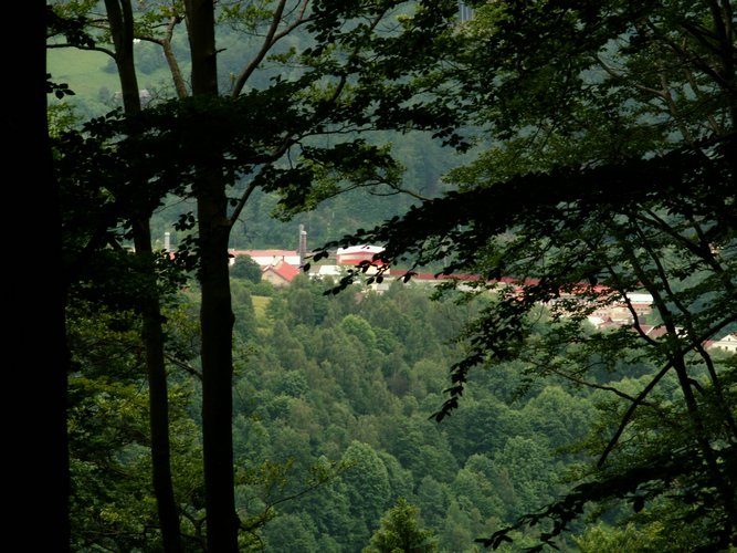 080612_PICT0014.JPG
