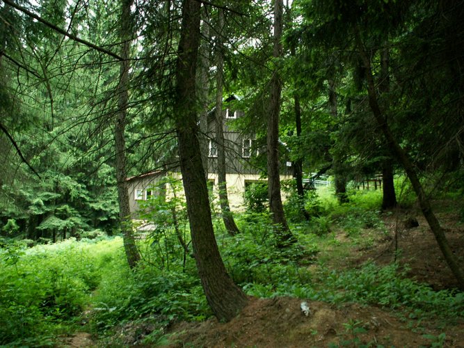 080612_PICT0017.JPG