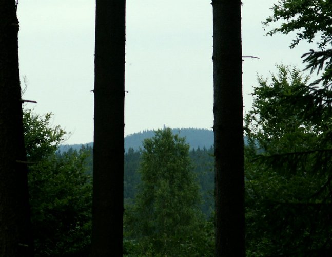 080612_PICT0030.JPG