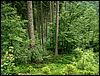 080612_PICT0004.JPG