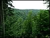 080612_PICT0005.JPG