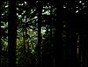 080612_PICT0008.JPG