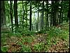 080612_PICT0009.JPG