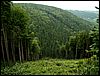 080612_PICT0010.JPG