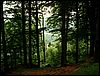 080612_PICT0013.JPG