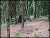 080612_PICT0015.JPG