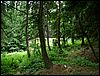 080612_PICT0017.JPG