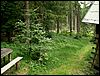 080612_PICT0020.JPG