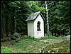080612_PICT0028.JPG