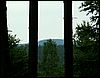 080612_PICT0030.JPG