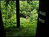 080612_PICT0031.JPG