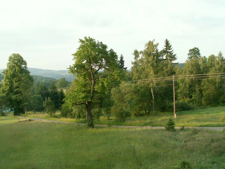 080615_PICT0001.JPG